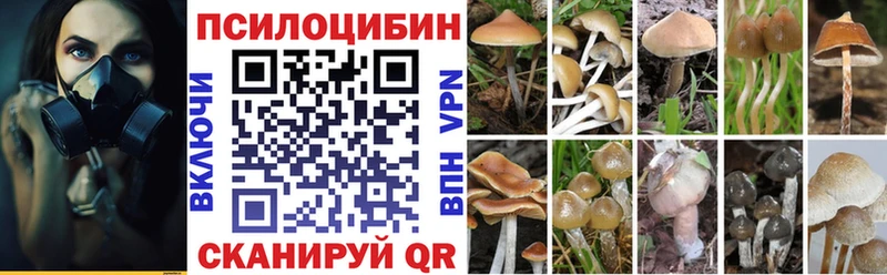 mega   Томмот  Псилоцибиновые грибы прущие грибы 